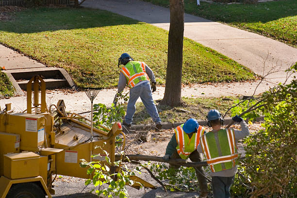 Best Tree Cutting Near Me  in St James, NC